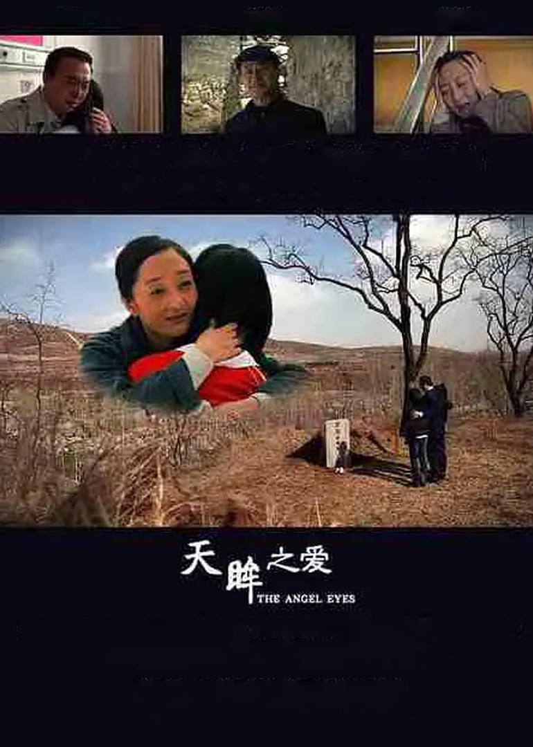 天眸之爱-封面2