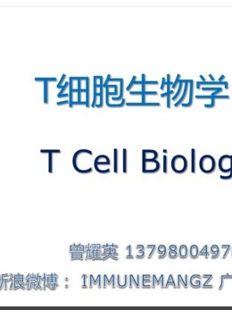 免疫学课程第四讲第一部分：T细胞生物学