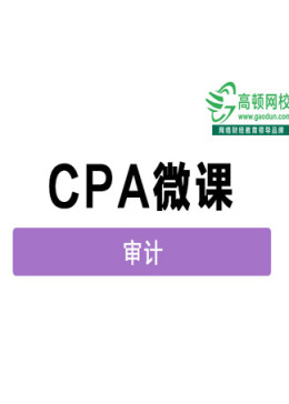 注册会计师（CPA）考试— 审计（全）