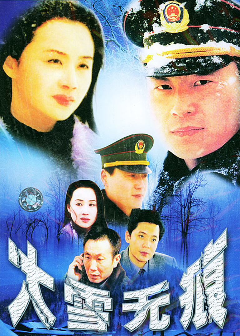 大雪无痕封面图