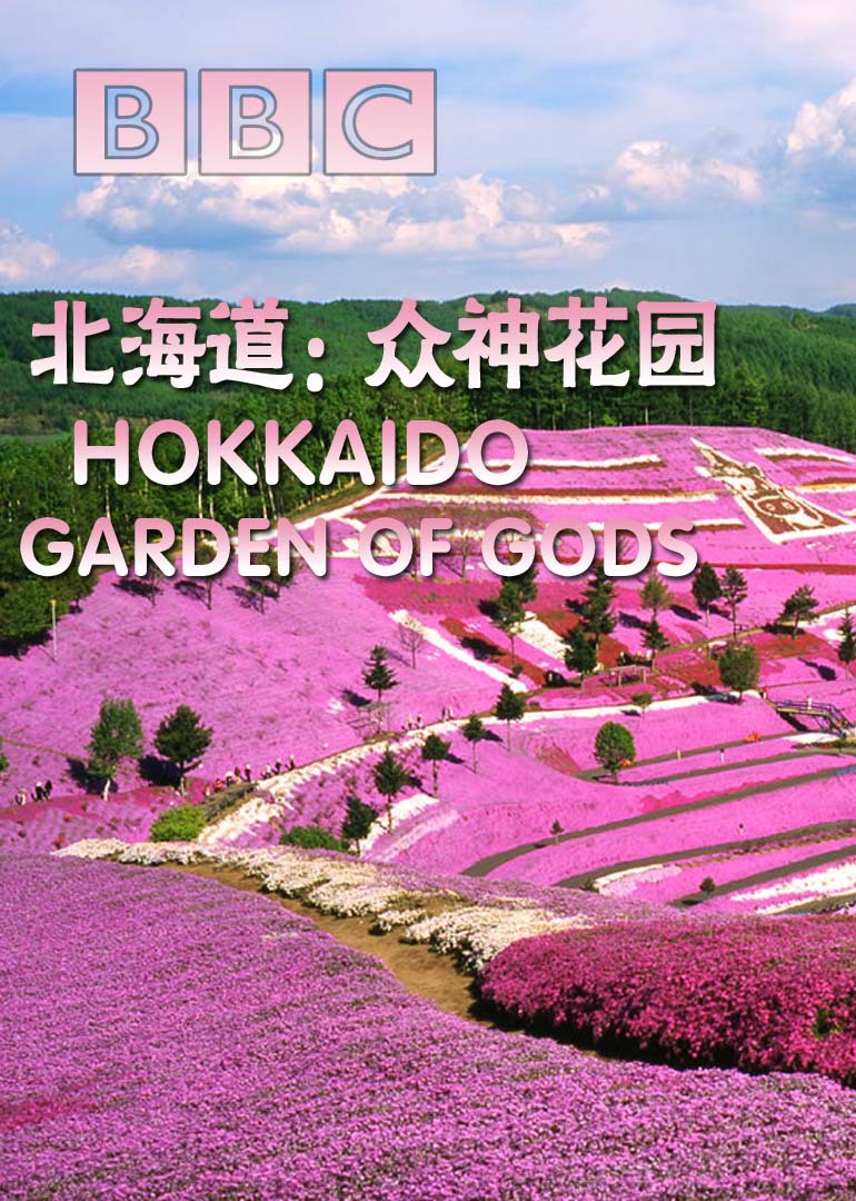 海报背景