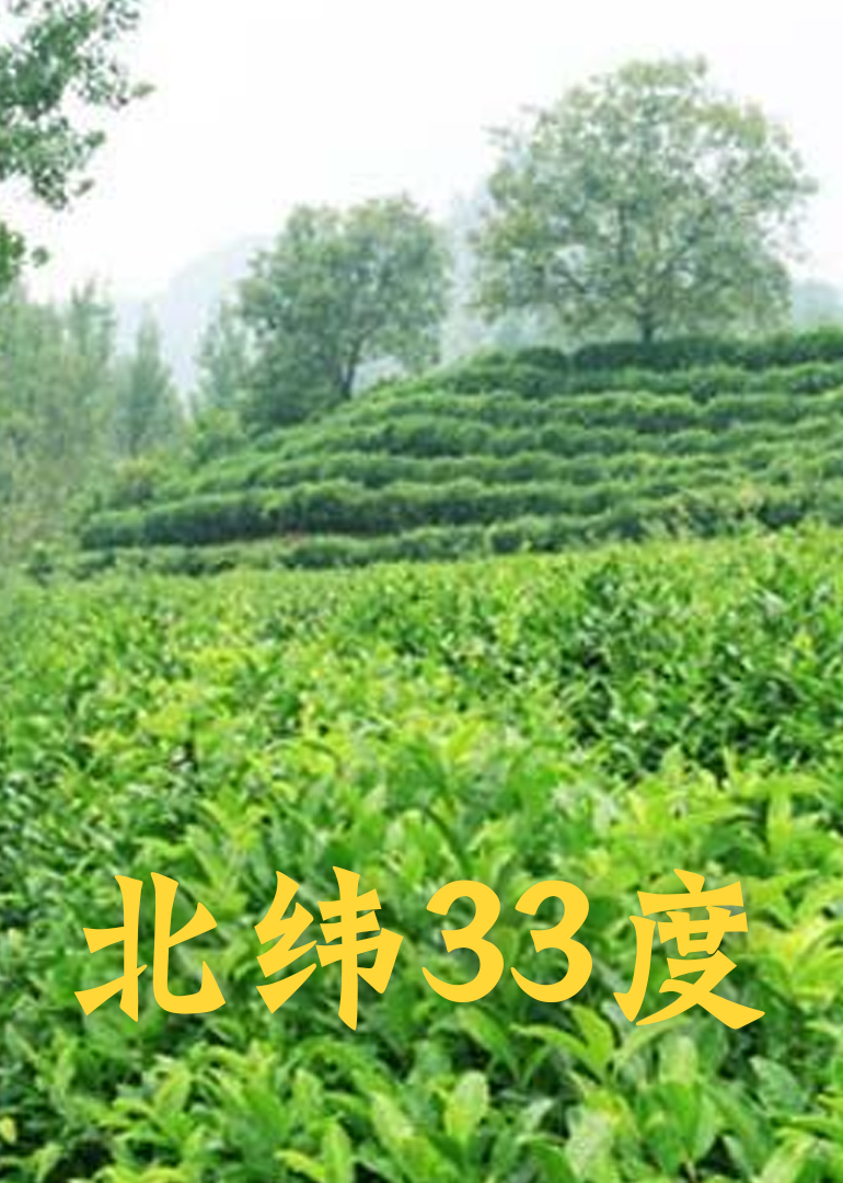 北纬33度-封面2