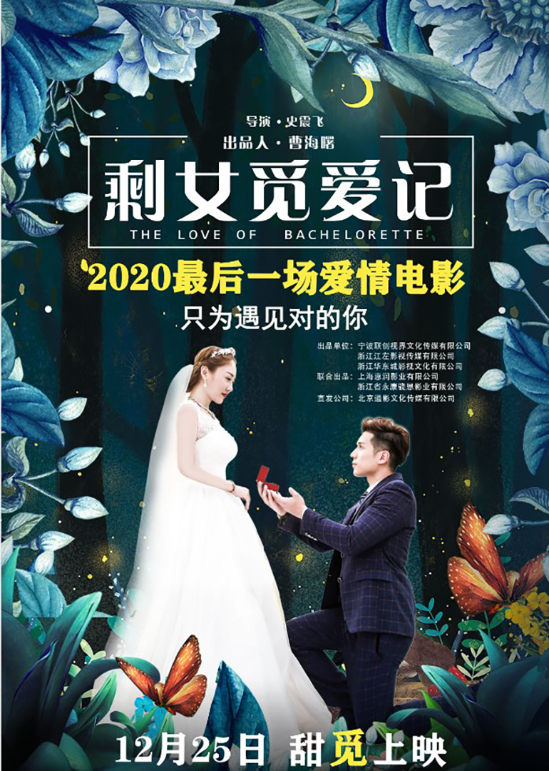 剩女觅爱记-封面2