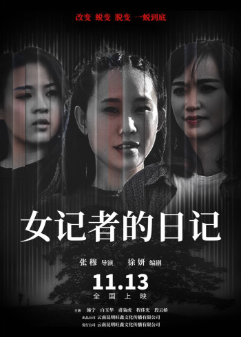 女记者的日记封面图