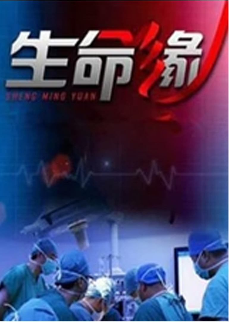 生命缘 第4季