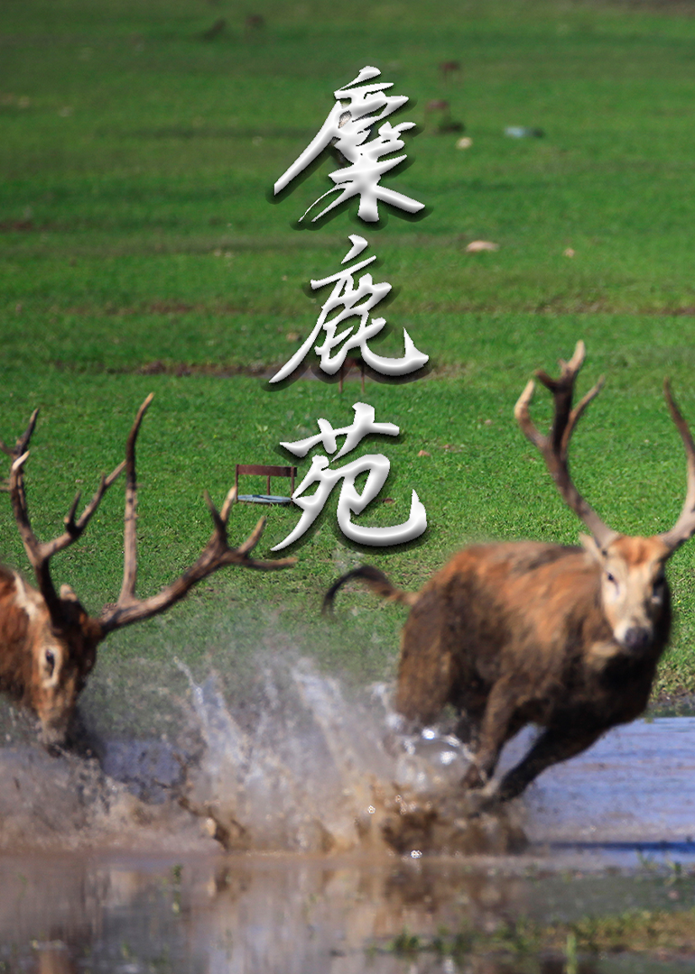 麋鹿苑}