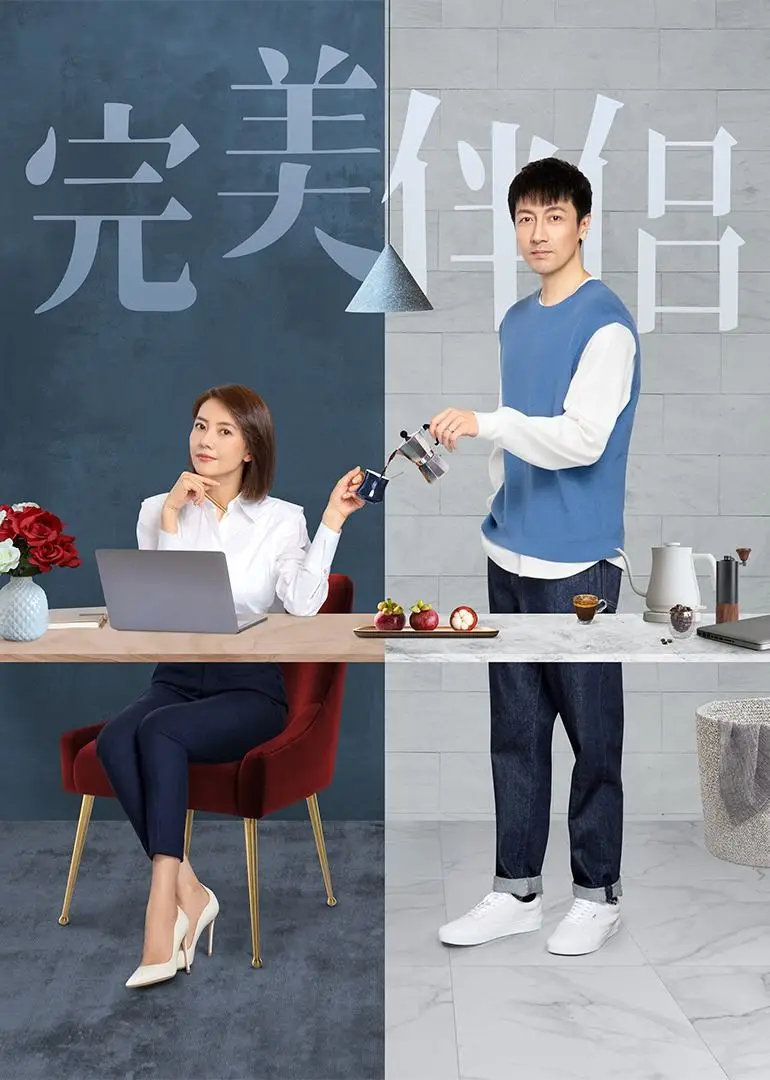 完美伴侣[DVD版]