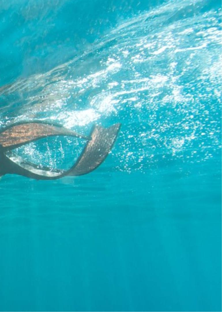 纪录片测试封面图