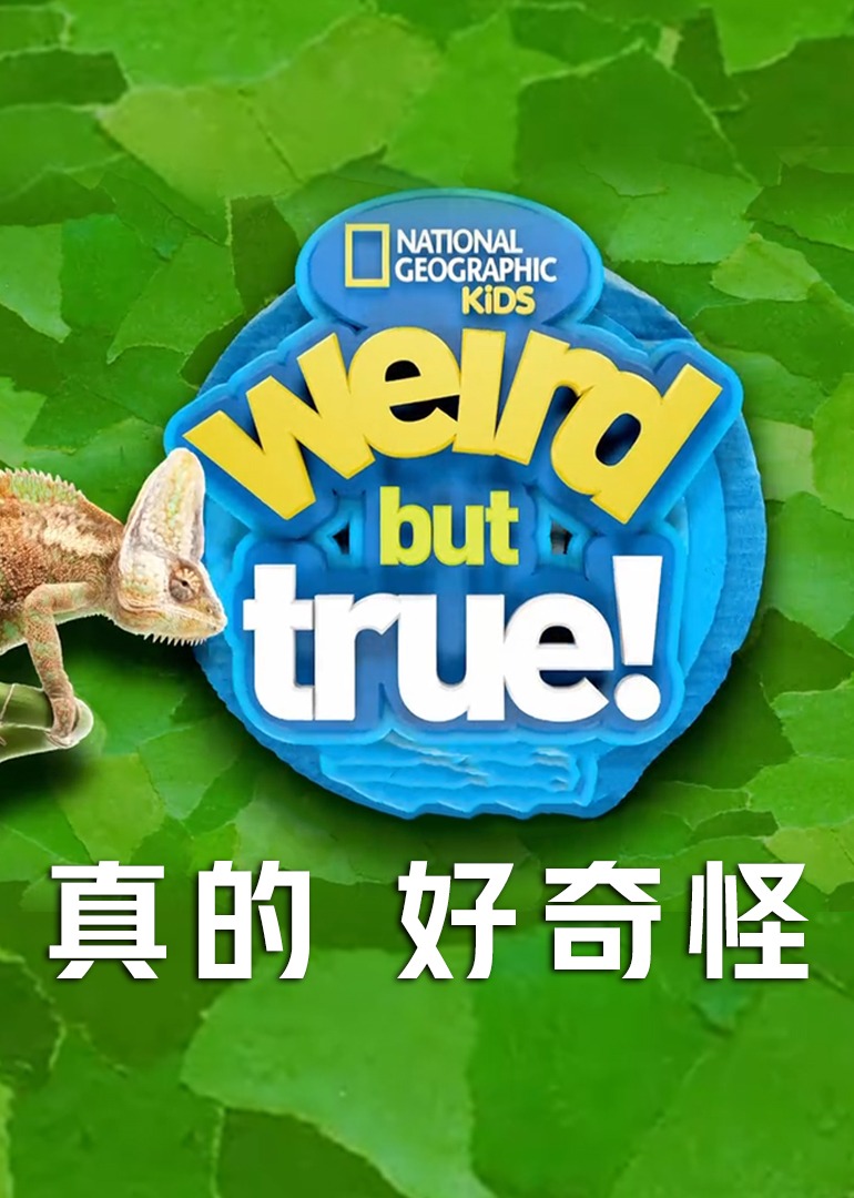 真的 好奇怪 第二季}