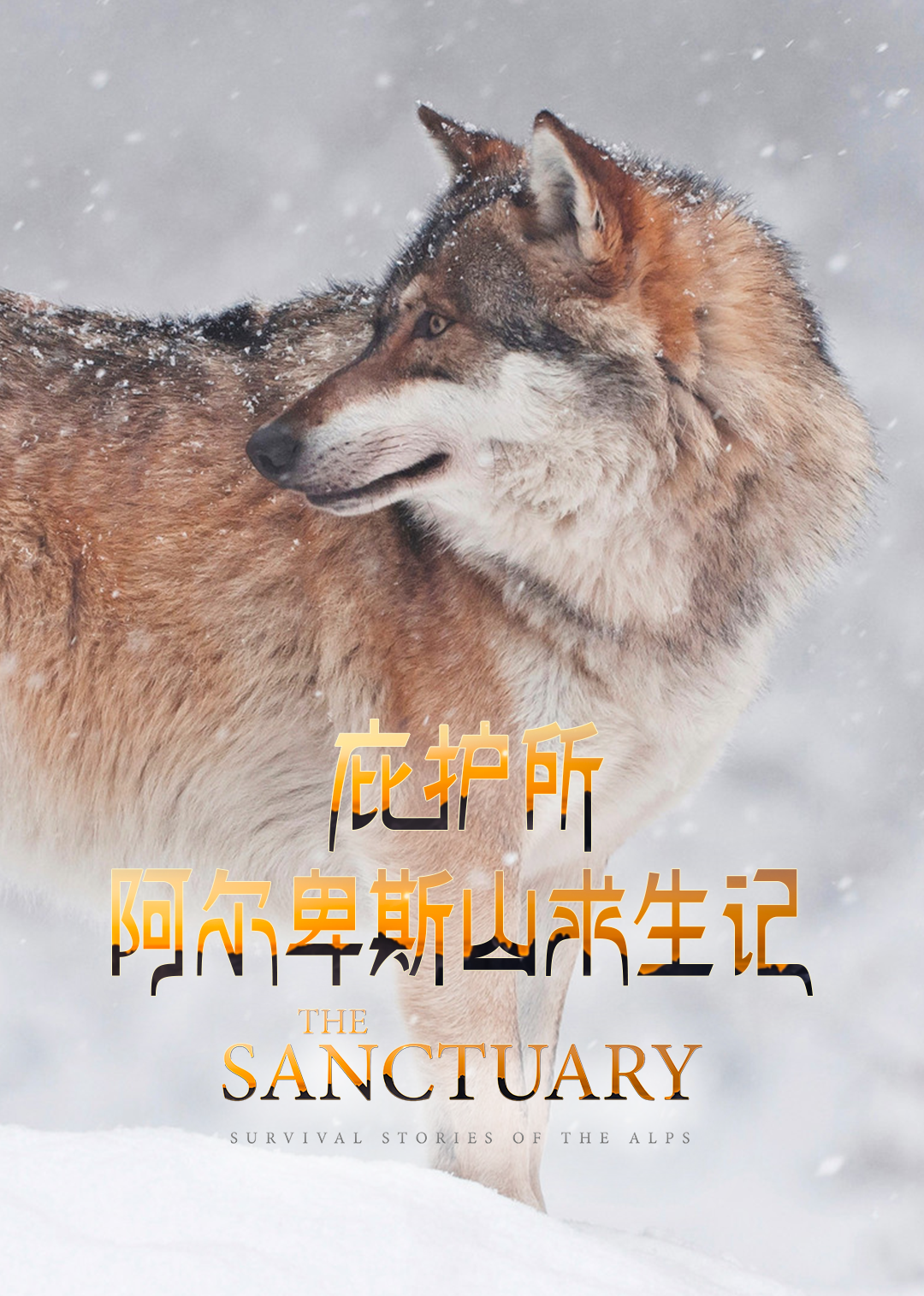 庇护所：阿尔卑斯山求生记-封面1