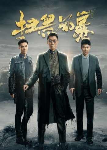 2018国产剧《扫黑风暴》迅雷下载_中文完整版_百度云网盘720P|1080P资源