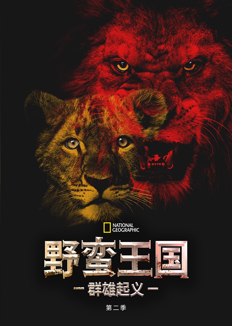野蛮王国 第2季：群雄起义