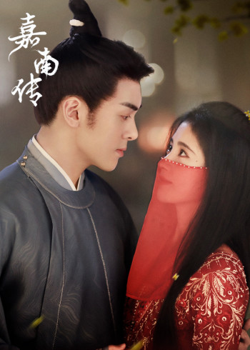 嘉南传免费观看