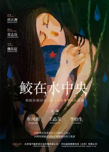 鲛在水中央封面图