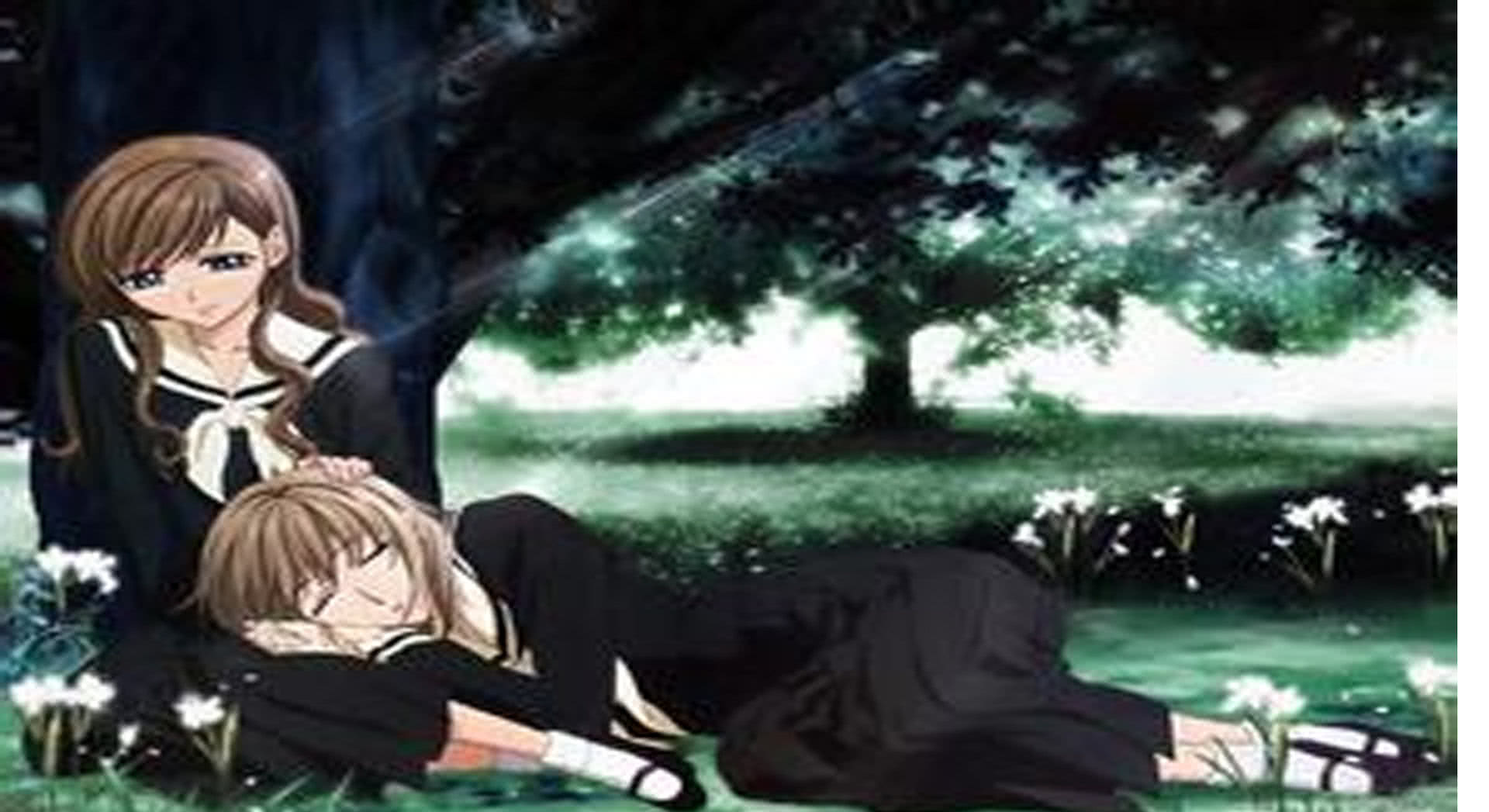 动漫单片付费测试专辑免费观看