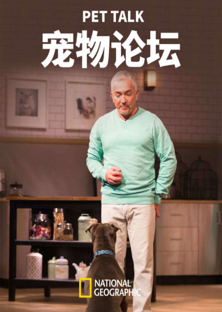 宠物论坛 第1季