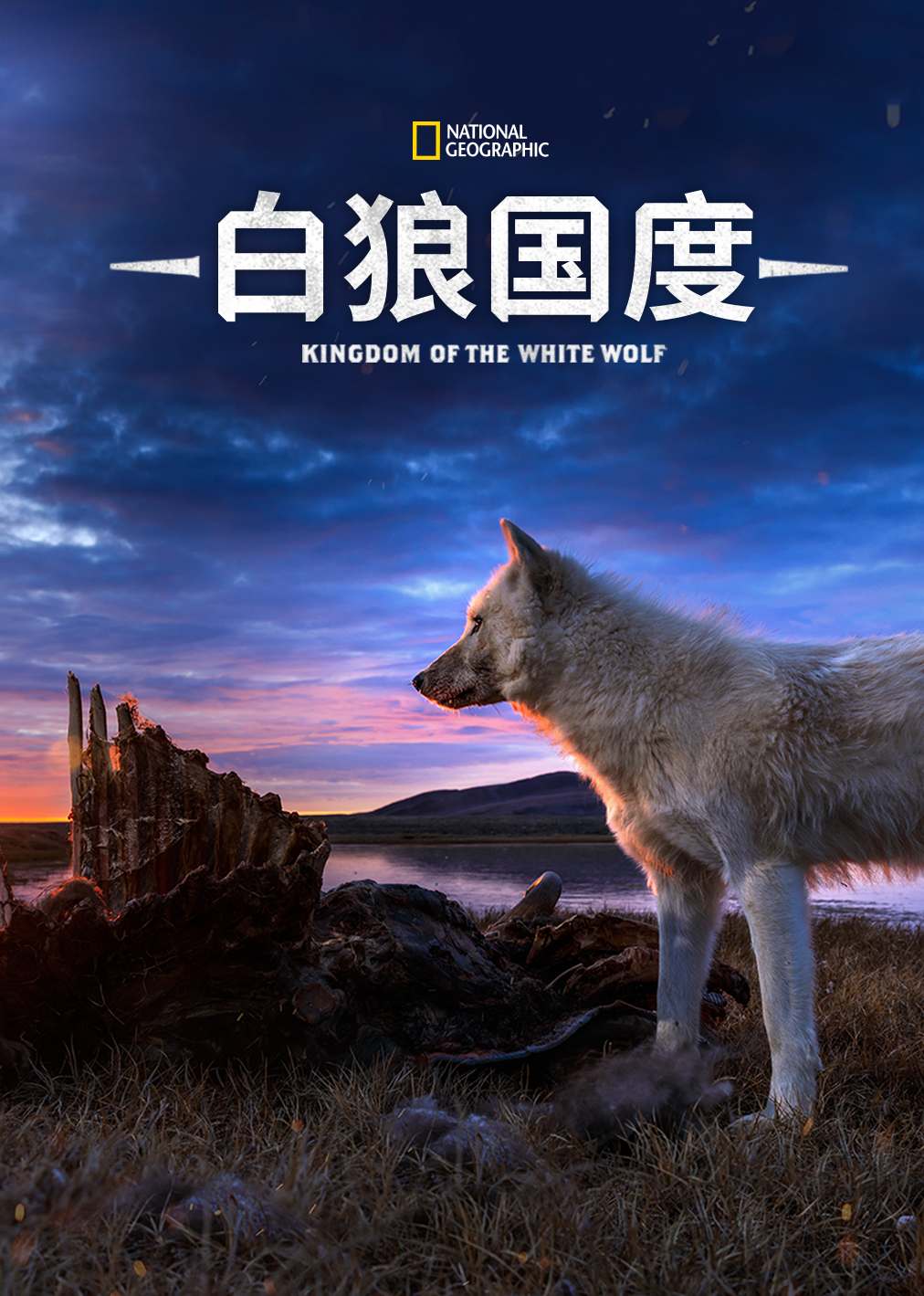 白狼国度