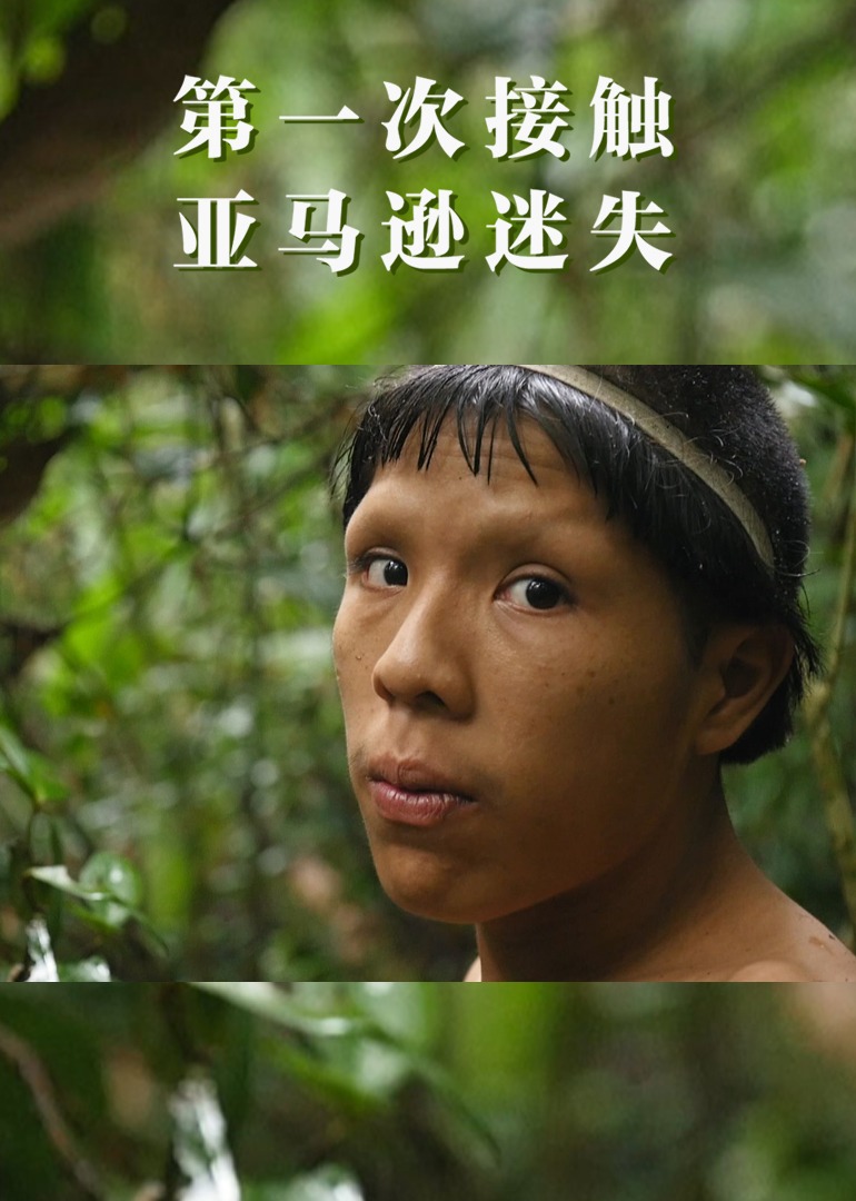 第一次接触：亚马逊迷失部落