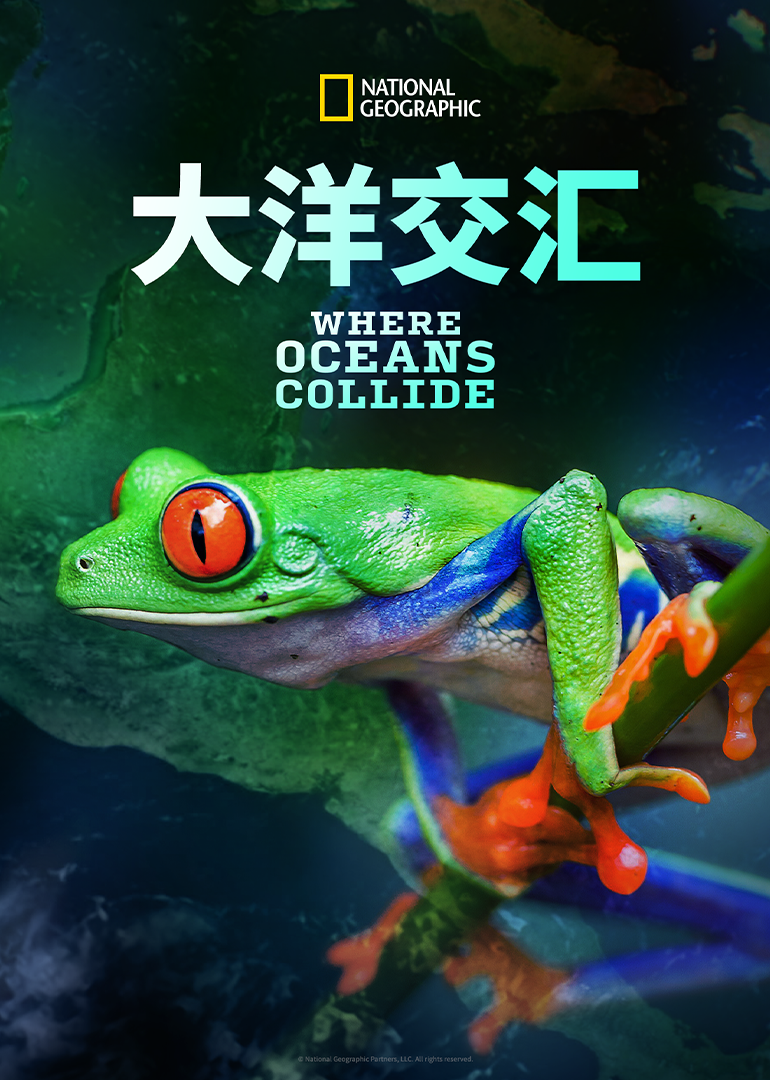 大洋交汇}