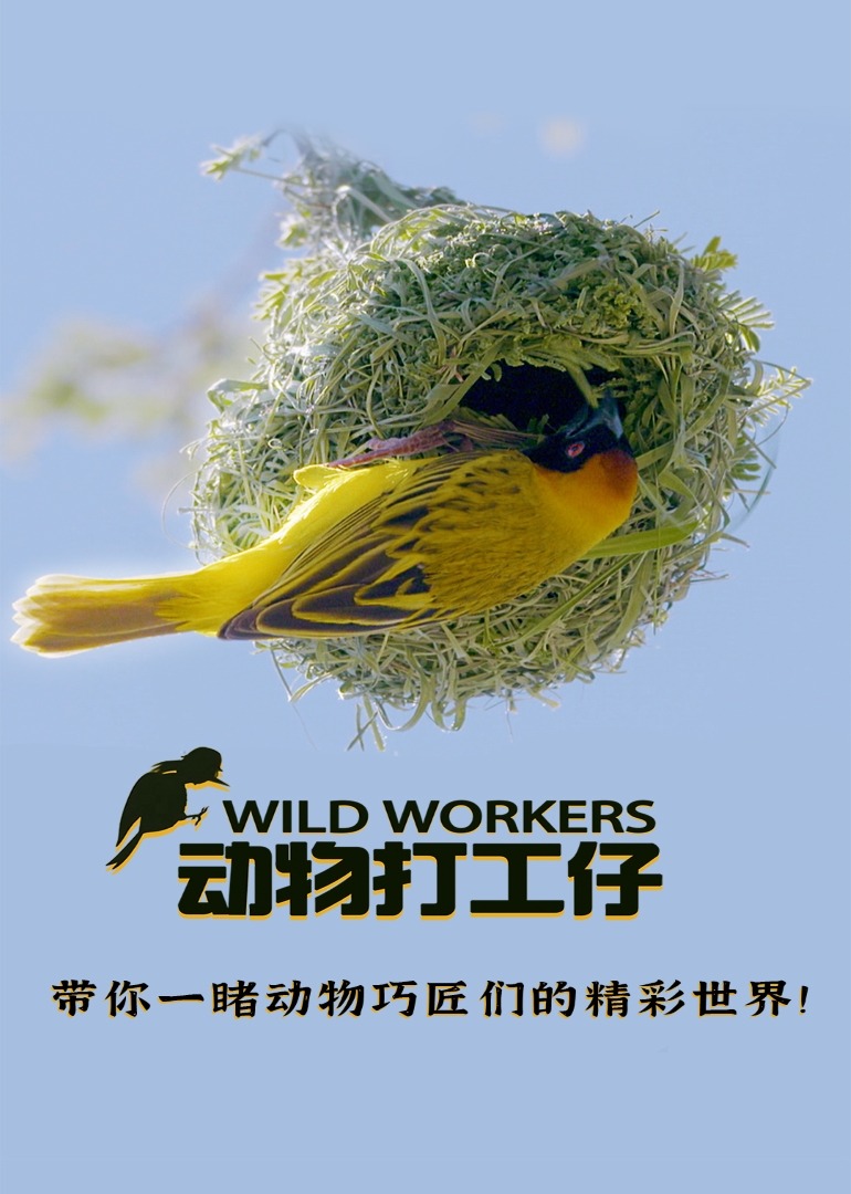 动物打工仔}