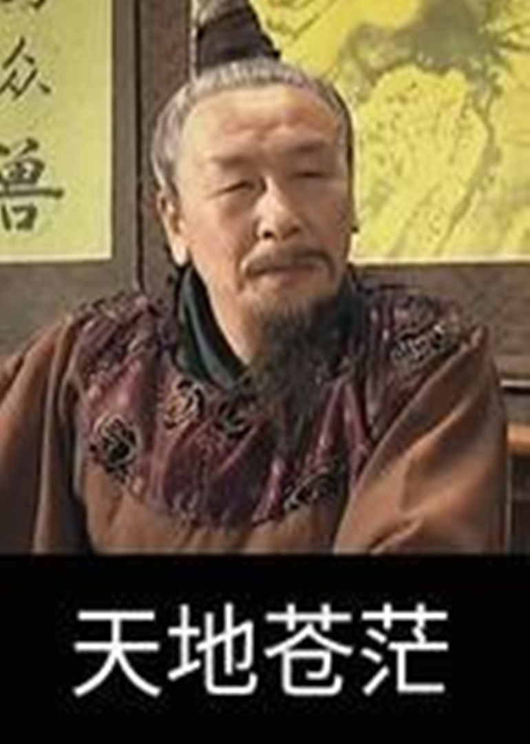 天地苍茫-封面2