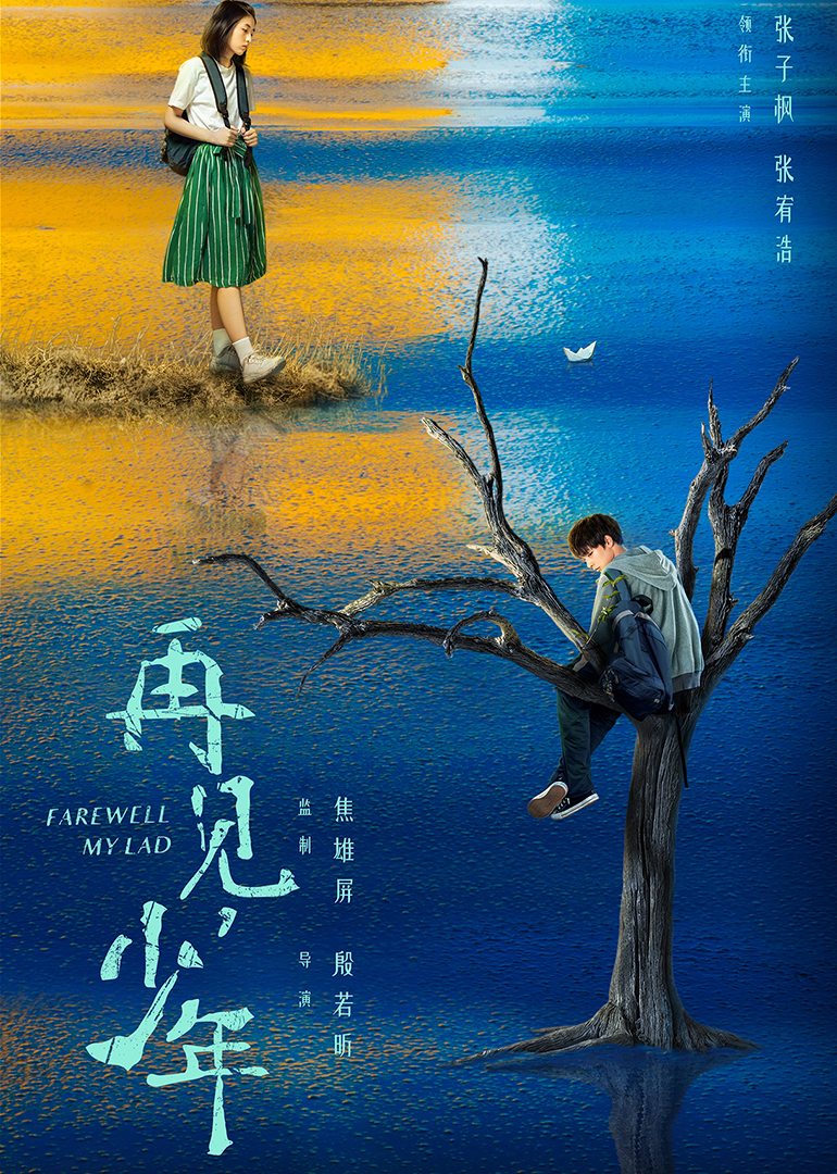 再见，少年-封面2