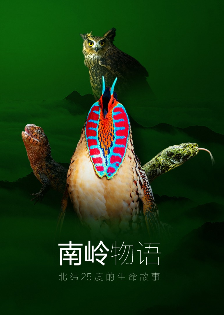 南岭物语}