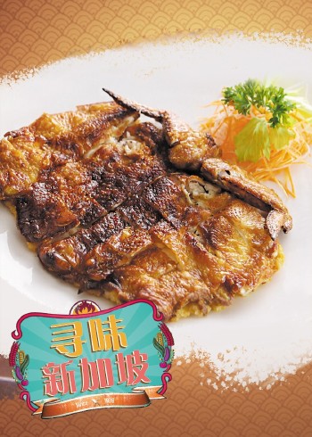 寻味新加坡封面图