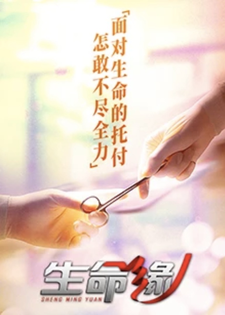 生命缘 第8季