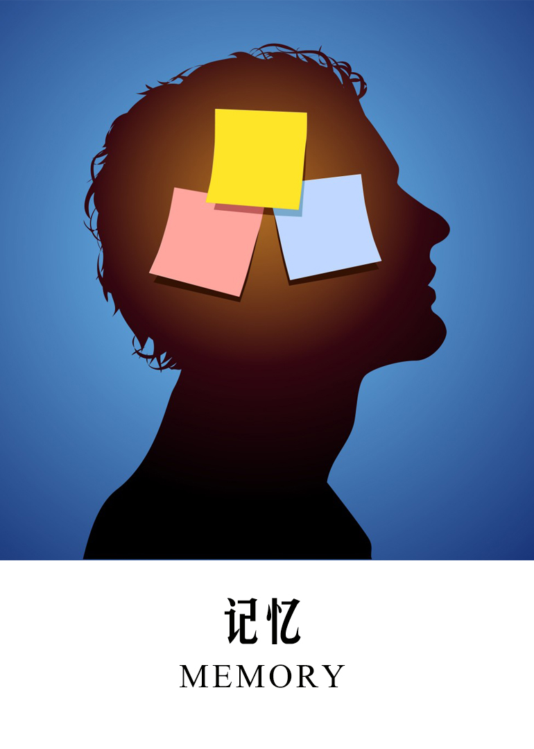 记忆}