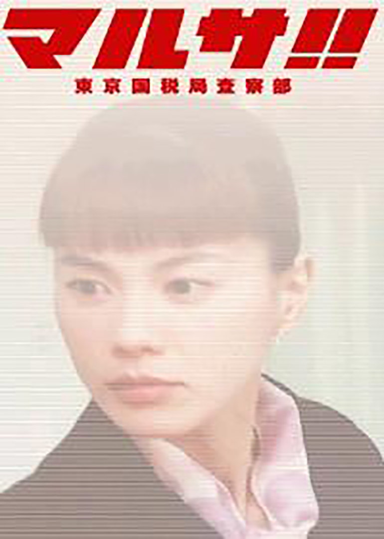 东京国税局 マルサ 東京国税局査察部 电视剧 腾讯视频