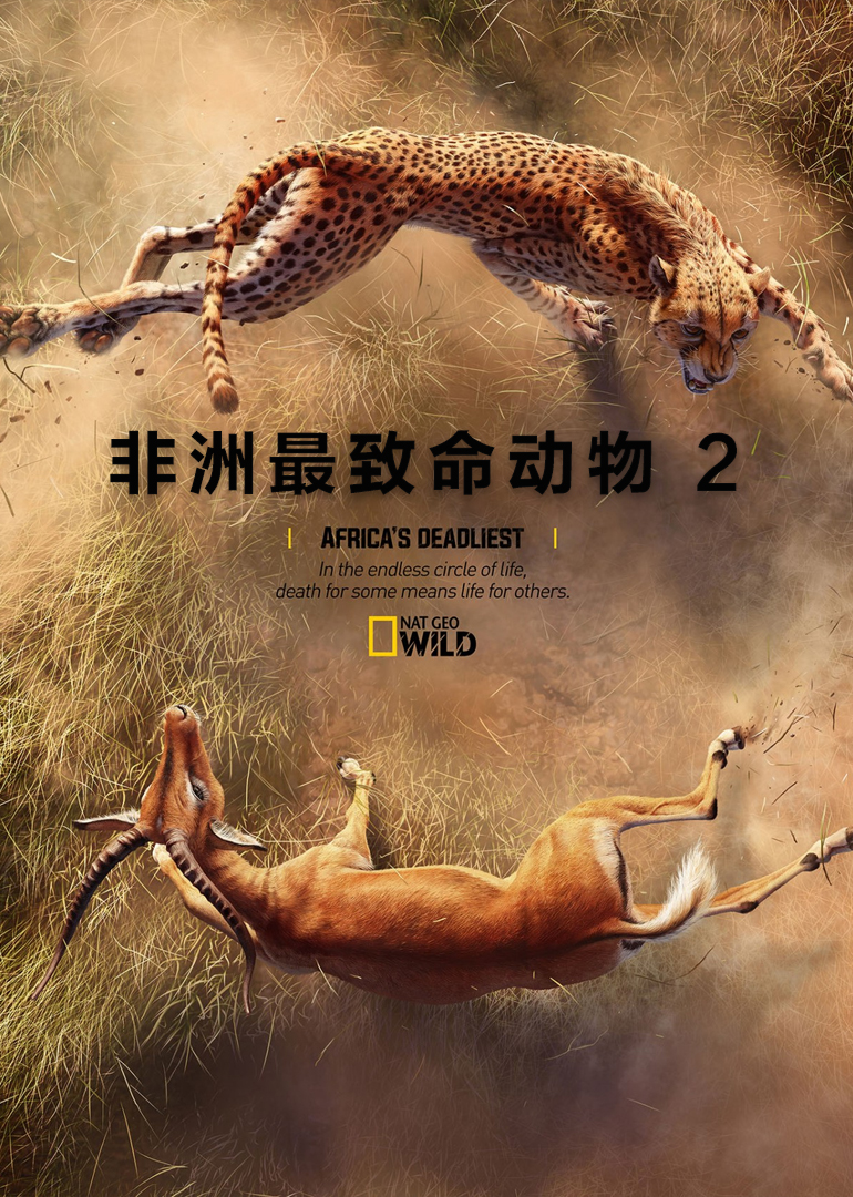 非洲致命动物 第2季