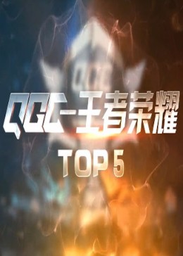 QGC王者荣耀夏季赛TOP5