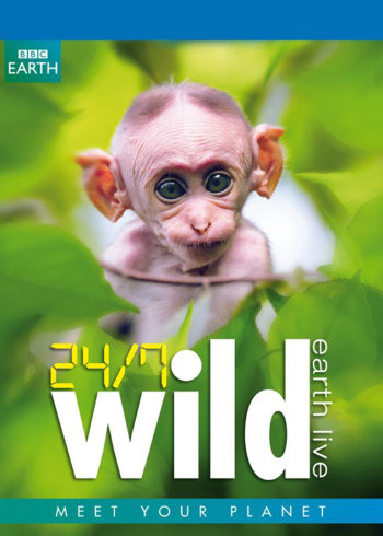 全天候野生动物追踪封面图