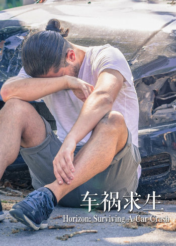 车祸求生封面图