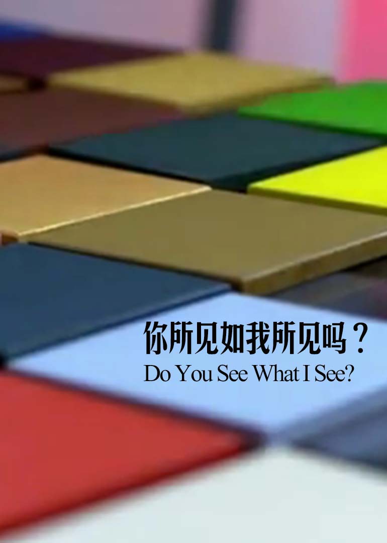 你所见如我所见吗}