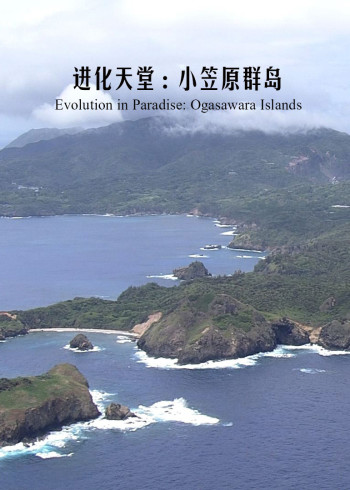 进化天堂：小笠原群岛