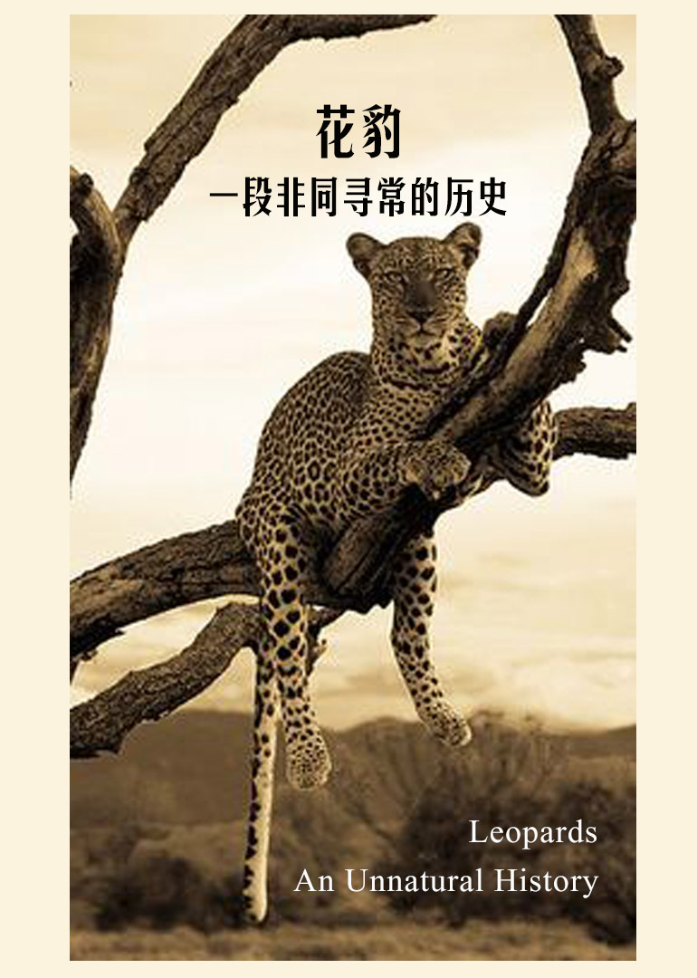 花豹：一段非同寻常的历史}