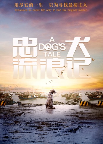 忠犬流浪记}