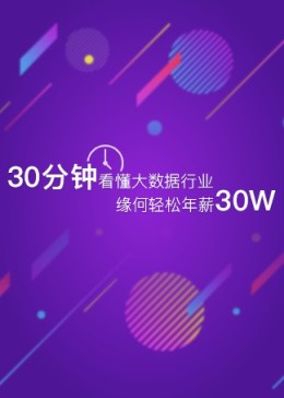 30分钟看懂大数据行业缘何轻松年薪30W