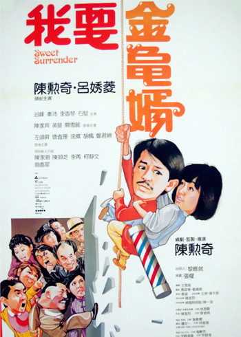 我要金龟婿封面图