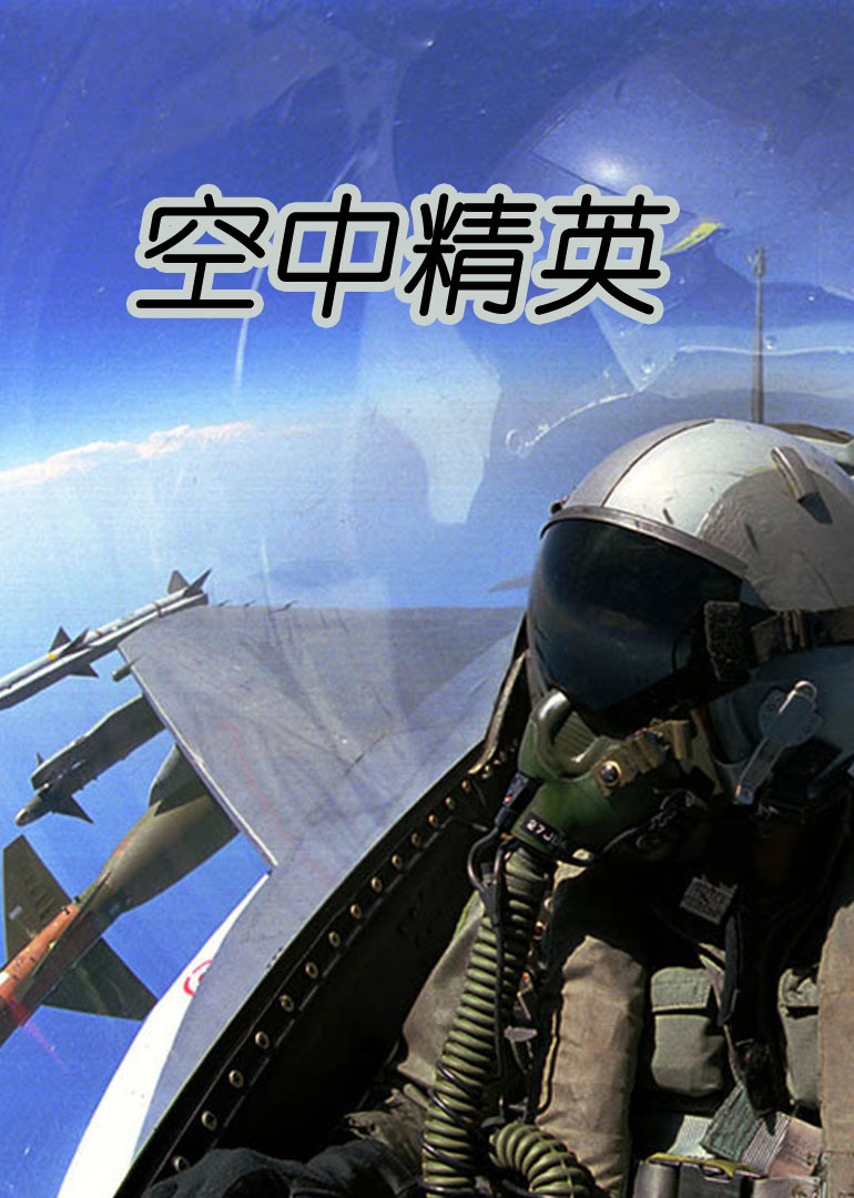 空中精英封面图