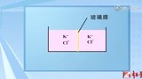 临床医学 正常心电图形成