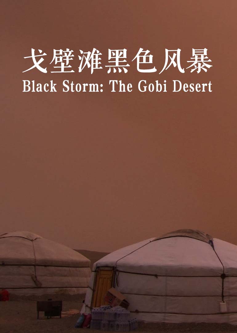戈壁滩黑色风暴}