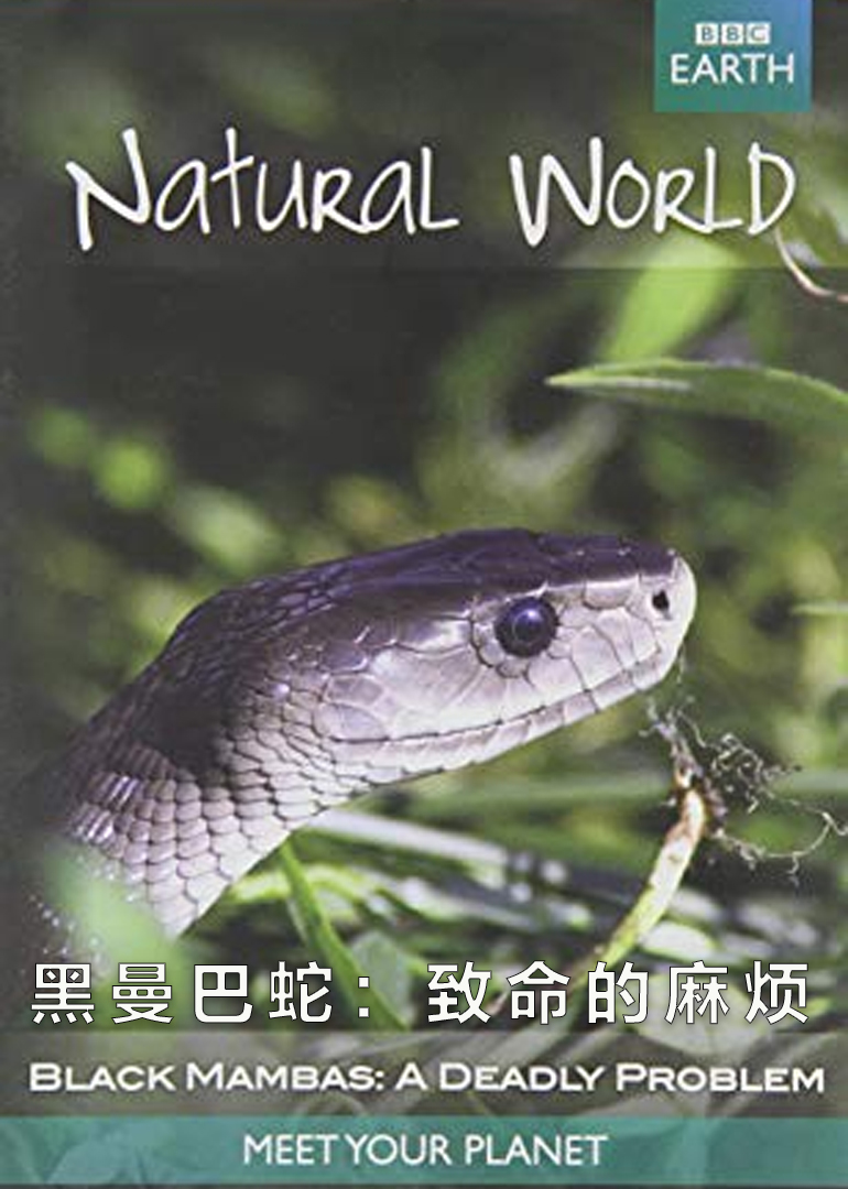 黑曼巴蛇：致命的麻烦}