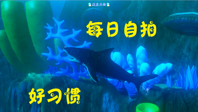 天铭 模拟鱼 海底大猎杀 Feed and Grow Fish 114 加强版本虎鲨！免费观看