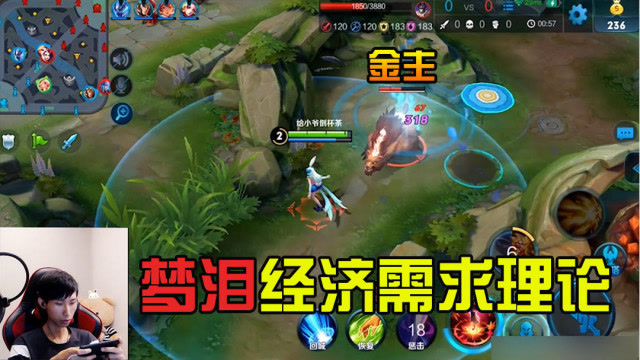 王者荣耀：梦泪的独家理财心得，像我这种不抓人的打野才是好打野免费观看