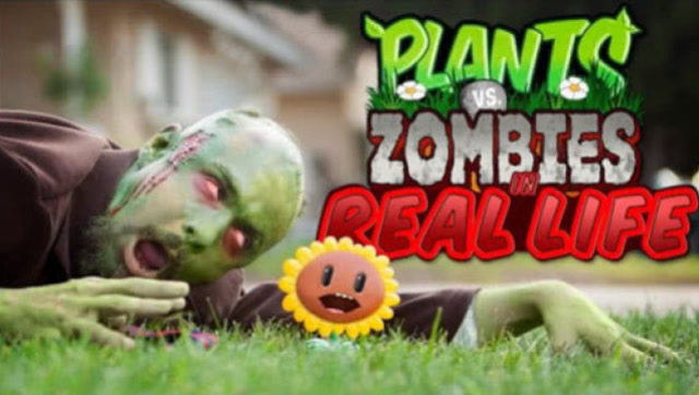 绿脸怪入侵戴夫家，欺负向日葵，却被戴夫直接碾压！免费观看