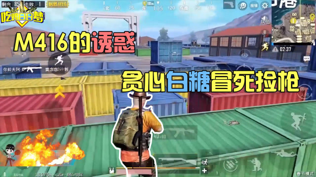 刺激战场：m416的诱惑，贪心白糖冒死捡枪！免费观看