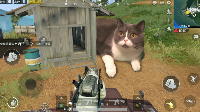 在刺激战场你不知道我经历过什么免费观看